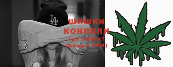 стафф Богданович