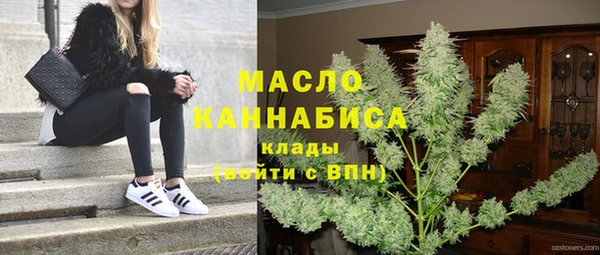 дживик Богородск