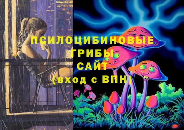 синтетический гашиш Богородицк