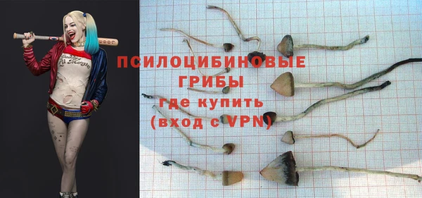 синтетический гашиш Богородицк