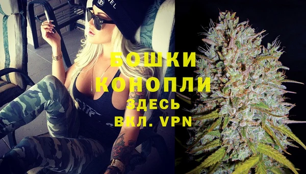дживик Богородск
