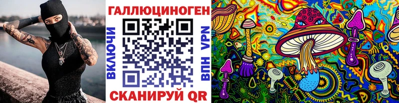 сколько стоит  Верхняя Тура  Галлюциногенные грибы Psilocybe 